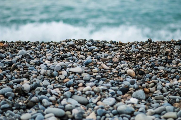 auto-news-1778256355.jpg